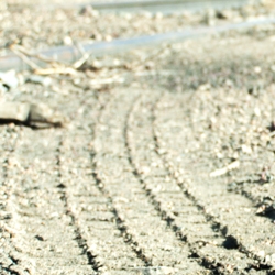 Tire Track